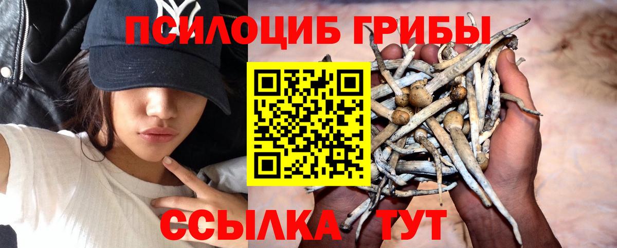 Острогожск  как найти закладки  Вход с VPN  Галлюциногенные грибы GOLDEN TEACHER 